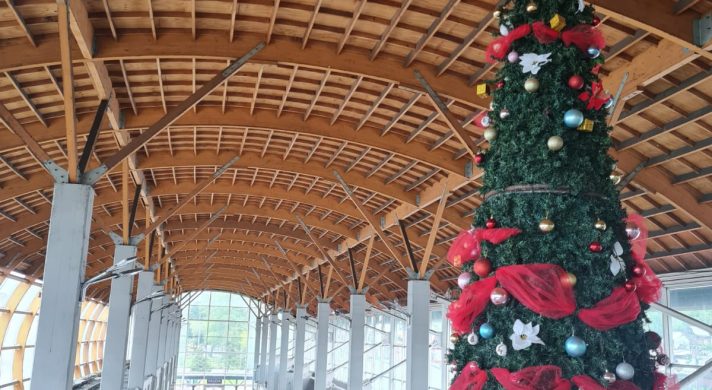 Terminal de Buses de Puerto Montt se viste de Navidad y refuerza medidas preventivas para las festividades